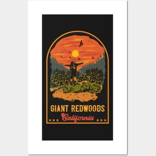 Hiking Giant Redwoods California Posters and Art